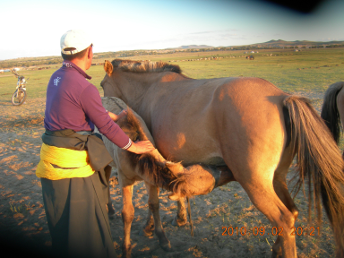 culture_tour_photo_mongolia (7)